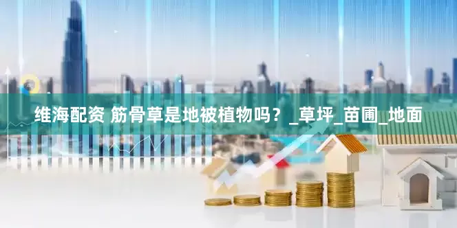 维海配资 筋骨草是地被植物吗？_草坪_苗圃_地面