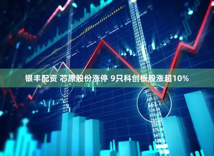 银丰配资 芯原股份涨停 9只科创板股涨超10%