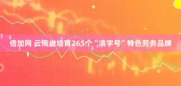 倍加网 云南省培育265个“滇字号”特色劳务品牌